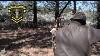 Vintage Nels Grumley Bush Bow Fred Bear Archery Recurve Bow Rh